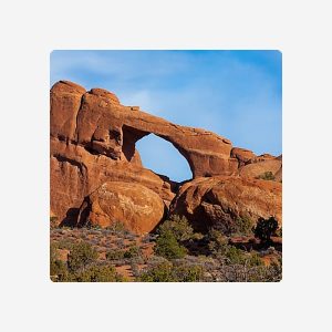 Anchorage Parking Credit - $50